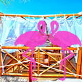 Area Prive Playa el Flamingo