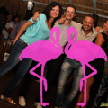 Festa Reggae 2012 Playa el Flamingo (81)