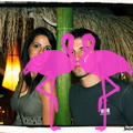 Festa Reggae anno 2012 Playa el Flamingo (3).JPG