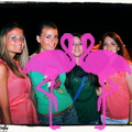 Festa Reggae anno 2012 Playa el Flamingo (6).JPG