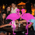 Festa Reggae anno 2012 Playa el Flamingo (7).JPG