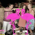 Festa Reggae Playa el Flamingo