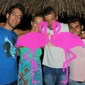 Festa Reggae anno 2012 Playa el Flamingo (33).JPG