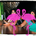 Festa Reggae anno 2012 Playa el Flamingo (54).JPG