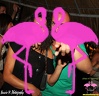 Festa Reggae Playa el Flamingo
