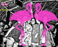 Festa Reggae anno 2012 Playa el Flamingo (101)