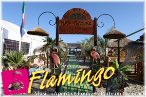 Zumba Fitness Playa el Flamingo