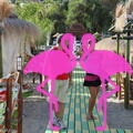 Zumba Fitness 2012 Playa el Flamingo (8)
