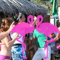 Zumba Fitness 2012 Playa el Flamingo (30)