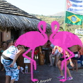 Zumba Fitness 2012 Playa el Flamingo (46)