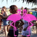 Zumba Fitness 2012 Playa el Flamingo (49)