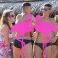 Zumba Fitness 2012 Playa el Flamingo (61)