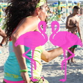 Zumba Fitness 2012 Playa el Flamingo (62)