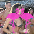 Zumba Fitness 2012 Playa el Flamingo (78)