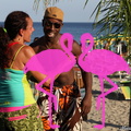 Zumba Fitness 2012 Playa el Flamingo (80)
