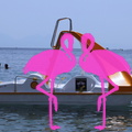 Spiaggia Playa el Flamingo