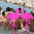 Acquagym Playa el Flamingo