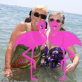 Acquagym Playa el Flamingo