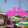 Playa El Flamingo-Day- (24).JPG