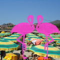 Playa El Flamingo-Day- (25).JPG