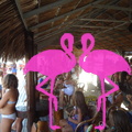 Playa El Flamingo-Day- (35)