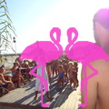 Playa El Flamingo-Day- (47).JPG