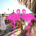Playa El Flamingo-Day- (48).JPG