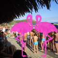 Playa El Flamingo-Day- (50).JPG