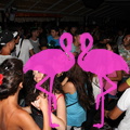 Notte dei Fuochi a Playa el Flamingo...DJ Vicente Cusati...