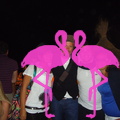 Vip's Playa el Flamingo