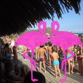 Baby-Dance a Playa El Flamingo.JPG