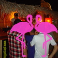 Playa El Flamingo-Area Privé-Night- (25).JPG