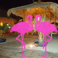 Playa El Flamingo-Area Privé-Night- (36).JPG