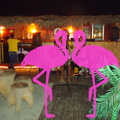 Playa El Flamingo-Area Privé-Night- (42).JPG