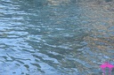 Baia Infreschi (66)