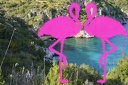 Baia Infreschi (80)