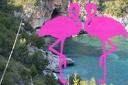 Baia Infreschi (81)