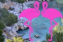 Baia Infreschi (85)