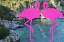 Baia Infreschi (98)