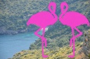 Baia Infreschi Dall'alto (5)