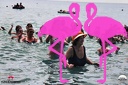 Acquazumba 2016