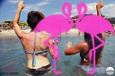 Acquazumba 2016