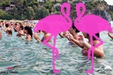 Acquazumba