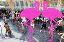 Zumba Fitness Estate 2017