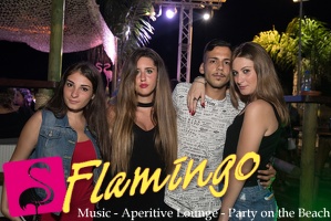 Playa el Flamingo Estate 2017