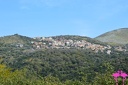 Lentiscosa