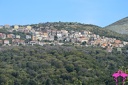 Lentiscosa