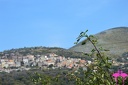 Lentiscosa