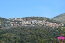 Lentiscosa
