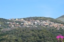 Lentiscosa